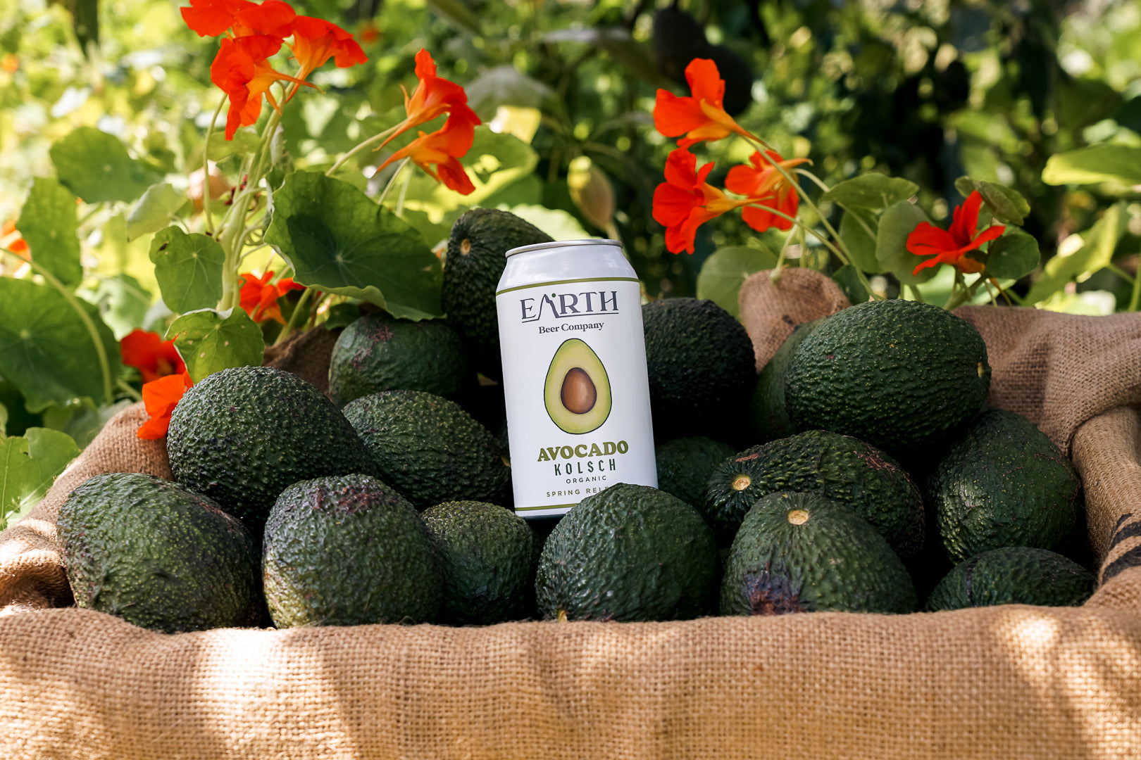 Earth Beer Company - Avocado Kolsch