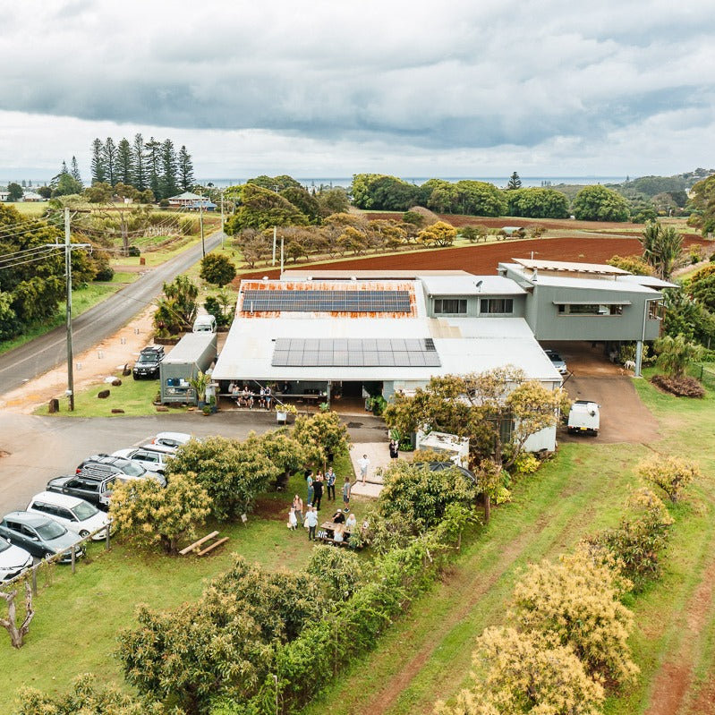 Avocado orchard surrounding Earth Beer Company brewery in Cudgen