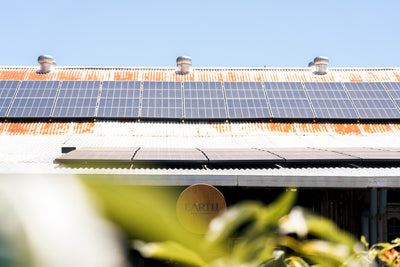 Solar-Powered Brewing at Earth Beer Company