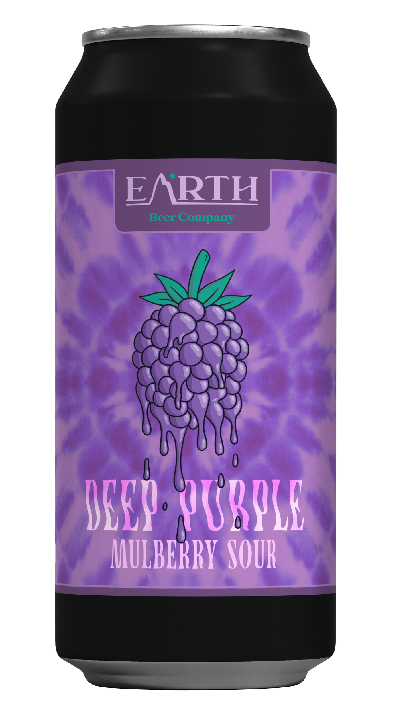 Deep Purple Mulberry Sour 6.0% 8 Pack